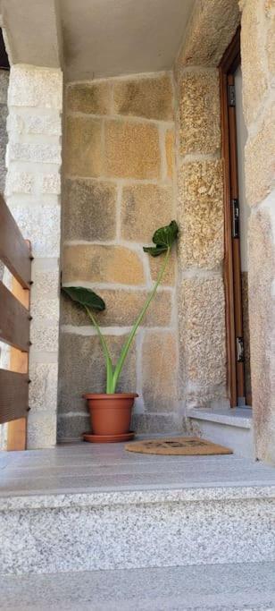 Casa Cereja Hébergement de vacances *